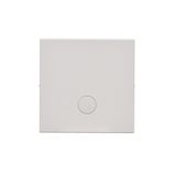 Single button for switches and push buttons, light gray matt