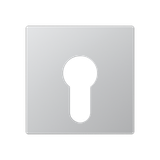 Cover plate f. key switch A525PLAL