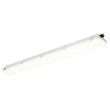 Barat LED 44W 2x2600 C110 T840 PC/PC OP IC IP66 EX Zone 2/22