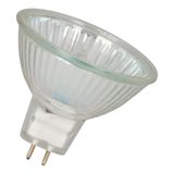 PAR16 GU5.3 240V 35W 38D Cover