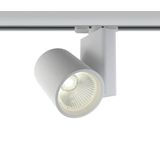WHITE COB 30W CW TRACK SPOT 230V