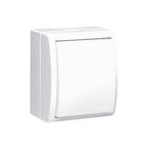 Two-way switch illuminated, IP54, 10AX, Screw, white