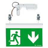 PURESIGN/COMSIGN 150 P MRCR-WF15 E1D SR - Escape sign luminaire