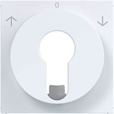 Centr.pl. blind switch/pulse driver DIN-cylinder arrow symbol A.x/C.x white glass