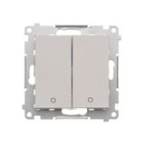 Double 2-pole switch, 16AX, light gray matt