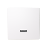 Dimmer control element with neon light