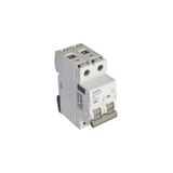 ISOLATOR SWITCHES - 2P - 250/415V~ - 63A