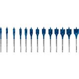EXPERT Self Cut Speed Spade Drill Bit Set 1/12/13/14/16/18/2/22/24/25/28/3/32 mm 13-pc