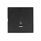 Rocker S 55, tranparent control window, symbol light, black
