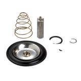 Spare part EV220B 25BD/SS FKM