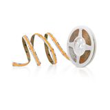 Fortimo LEDFlex C 5m 500lm/m 927 C5 G1