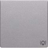 Rocker with imprinted symbol light, Q.1/Q.3, aluminium velvety, lacque