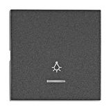 Rocker S 50, tranparent control window, symbol light, anthra