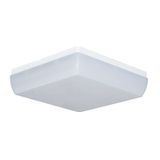 LINEA SQUARE 3600/840 DALI M1h LED interior light 3600 lm 24W IP54