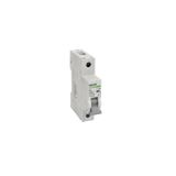 AC Circuit Breakers Ex9BN-JC 1P C1A EU