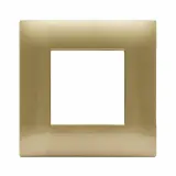 YOUNG44 FR PLATE GOLD           2M