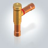 NRV 35s Check Valve AW M/6