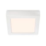 LED surface lightincl. 1 x LED-platine 11W 1.050lm 3.000K