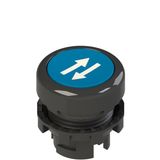 Spring-return blue flush pushbutton with marking