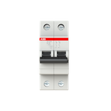 SH202L-B20 Miniature Circuit Breaker - 2P - B - 20 A