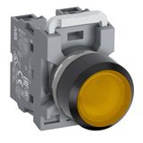 OZXB13