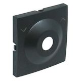 C.PLAT F/KEY LOCK PUSH-BUT/TWO-WAY SWITCH GR