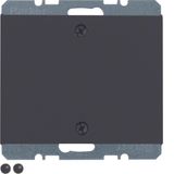 Blind plug centre plate, screw-on, K.1, ant. matt, lacq.