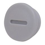 Metric blanking plug M63x1.5