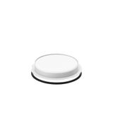 Replacement glass, moulded glass D 293 H 42 colour: white