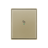 Rocker, 1gang, with “Dimmer” icon