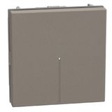 Light Now - push 1P NO 10A 2m axial stone