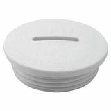 Closure Cap GW52377 M40 IP65 Grey Nylon