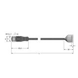 Actuator and Sensor Cable, PVC Connection Cable   RKSV8T-5/TEL
