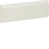 Replacement door solid, white for VR/VD118