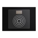 ALPHA reader MifareВ®classic /classicВ®plus