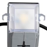 RoBust LED Line 4X8W 5000K Grey 11.5M