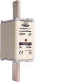 NH fuse NH1 gG 690V 200A with twin indicator and live gripping lug