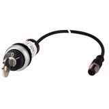C22-WS-MS1-K10-P1 Key-operated actuator, RMQ compact solution, momentary, 1 N/O, Cable (black) with M12A plug, 4 pole, 0.2 m, 2 positions, MS1, Bezel: titanium