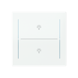 LFBT/A.2.70.1-44G Cover plate with legend with Symbol "light" studio white - Trevion®