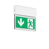 HALYXX, 3,7 W, white, on/off Ceiling luminaires, L 235 B 40 H 220, CBS