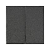 Rocker S 55 2-gang, anthracite