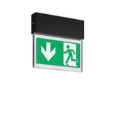HALYXX, 4,7 W, black, on/off Ceiling luminaires, L 235 B 40 H 220, SBS
