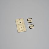 2G WALL PLATE / VERTICAL / WITH INFILLS / WITHOUT LOGO / BRASS