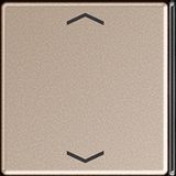 Cover 4-gang with sym. for button 2+3 A404TSAPCH23
