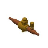 GBC 6s E Ball Valve M/25