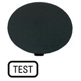 M22-XDP-S-GB9 Button plate, mushroom black, TEST