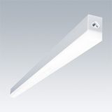 EQUAMINI L1180 LED3800-830 HFX SD - Suspended LED luminaire