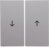 Rocker 2gang imprinted arrow symbol, S.1/B.3/B.7, p. white, matt, plas