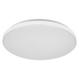 ORBIS ESS 390 24W 830 IP44 WT BD1 OSRAM