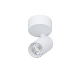 SPYGLASS: PAR. 9W F36 3K CRI90 BI